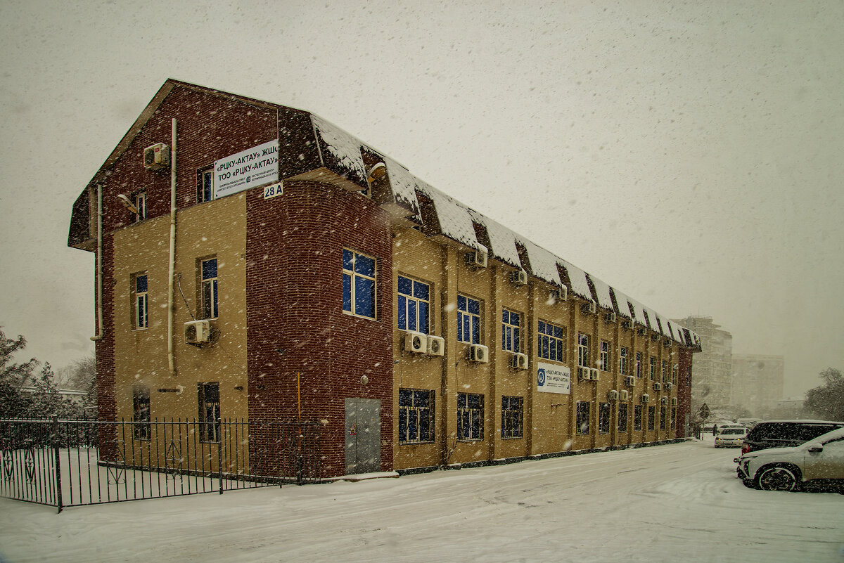 Необычный дом - Анатолий Чикчирный