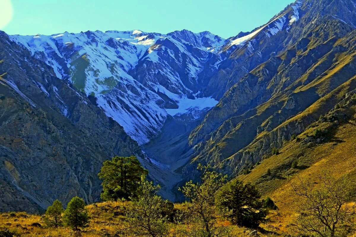 ГОРНАЯ ПРОГУЛКА. - Виктор Осипчук