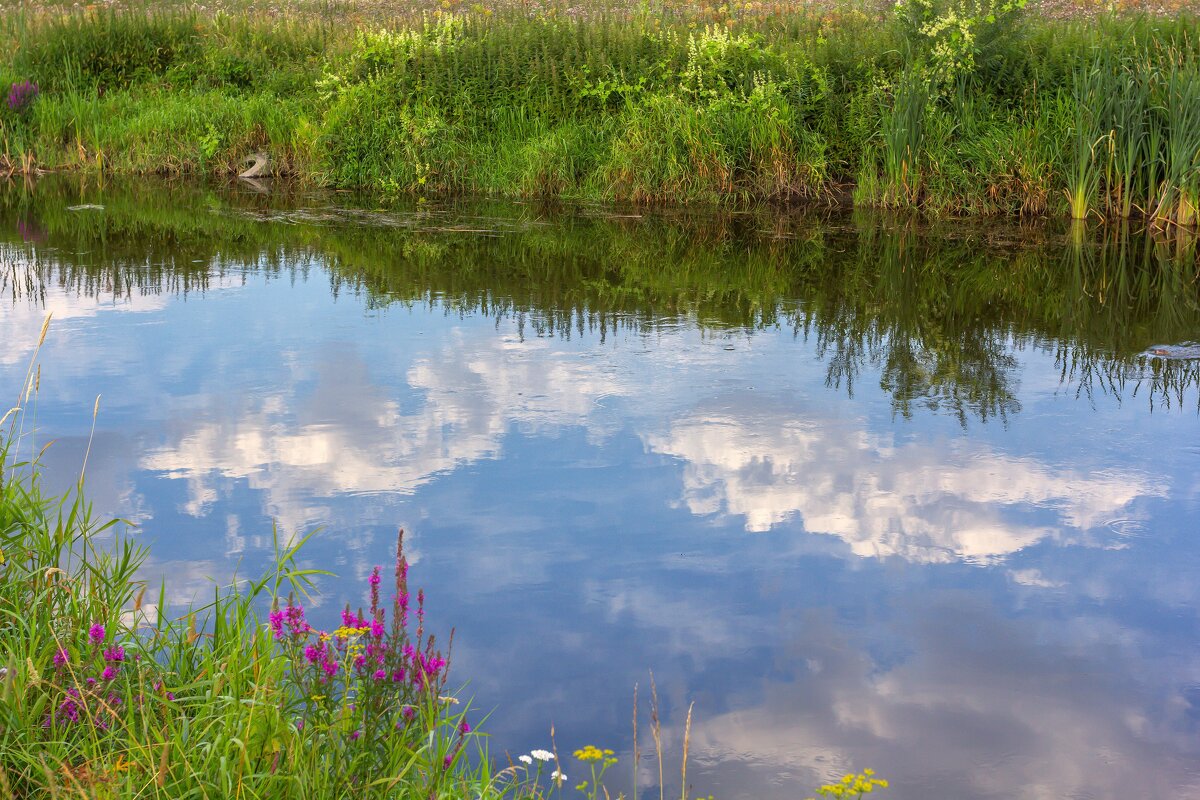 Летнее утро на реке Миасс. - Алексей Трухин Летнее утро на реке Миасс. - Алексей Трухин