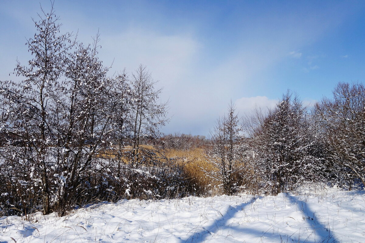 В окрестностях Калининграда - Рита Симонова В окрестностях Калининграда - Рита Симонова