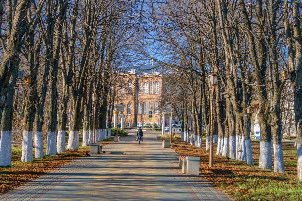 Армавир в январе - Игорь Сикорский