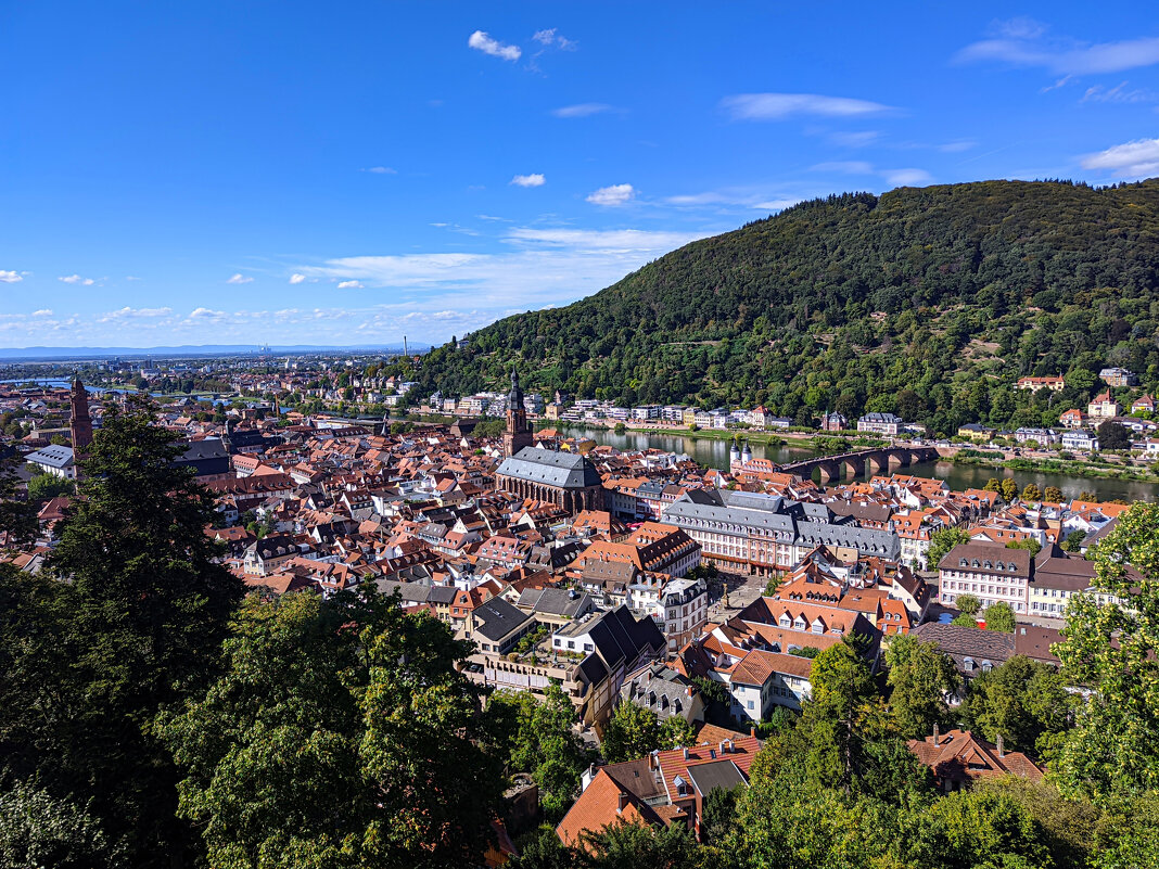 Хайдельберг ФРГ.. - igor G.