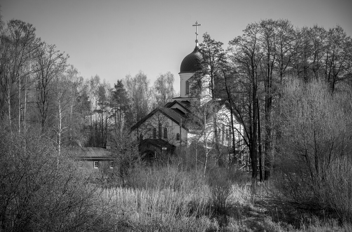 *** - Андрей Дворников