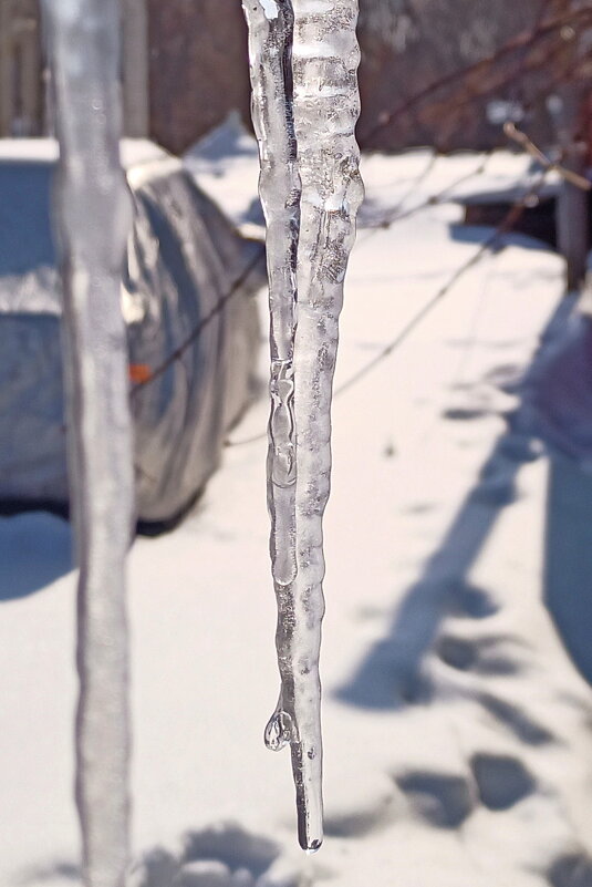 Лакомство детства! - Игорь Родионов Лакомство детства! - Игорь Родионов