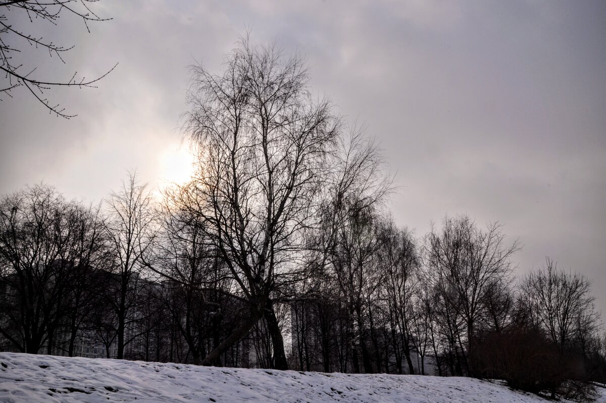 Вот и весна пришла нахмурившись,,,) - Анатолий Колосов Вот и весна пришла нахмурившись,,,) - Анатолий Колосов