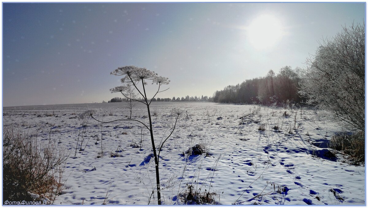Русское поле. - Владимир Русское поле. - Владимир