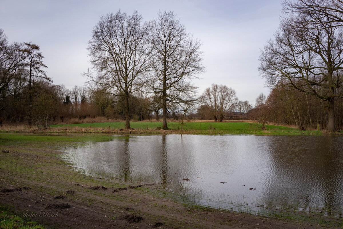 Большая лужа... - Николай Гирш Большая лужа... - Николай Гирш