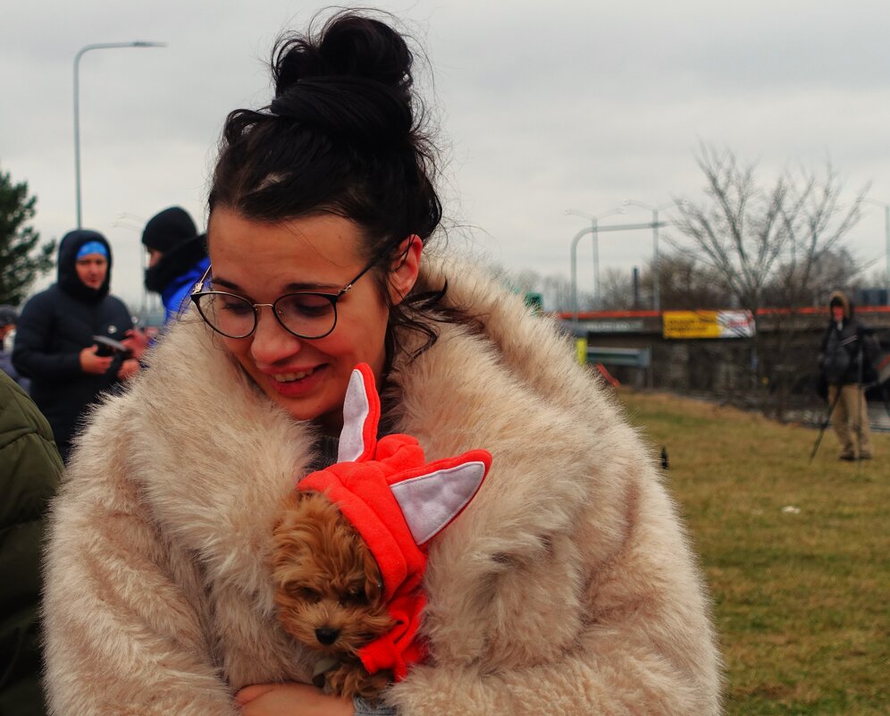 Ой! Кто к нам прибежал!Еще одна красивая собачка - Aida10 Ой! Кто к нам прибежал!Еще одна красивая собачка - Aida10