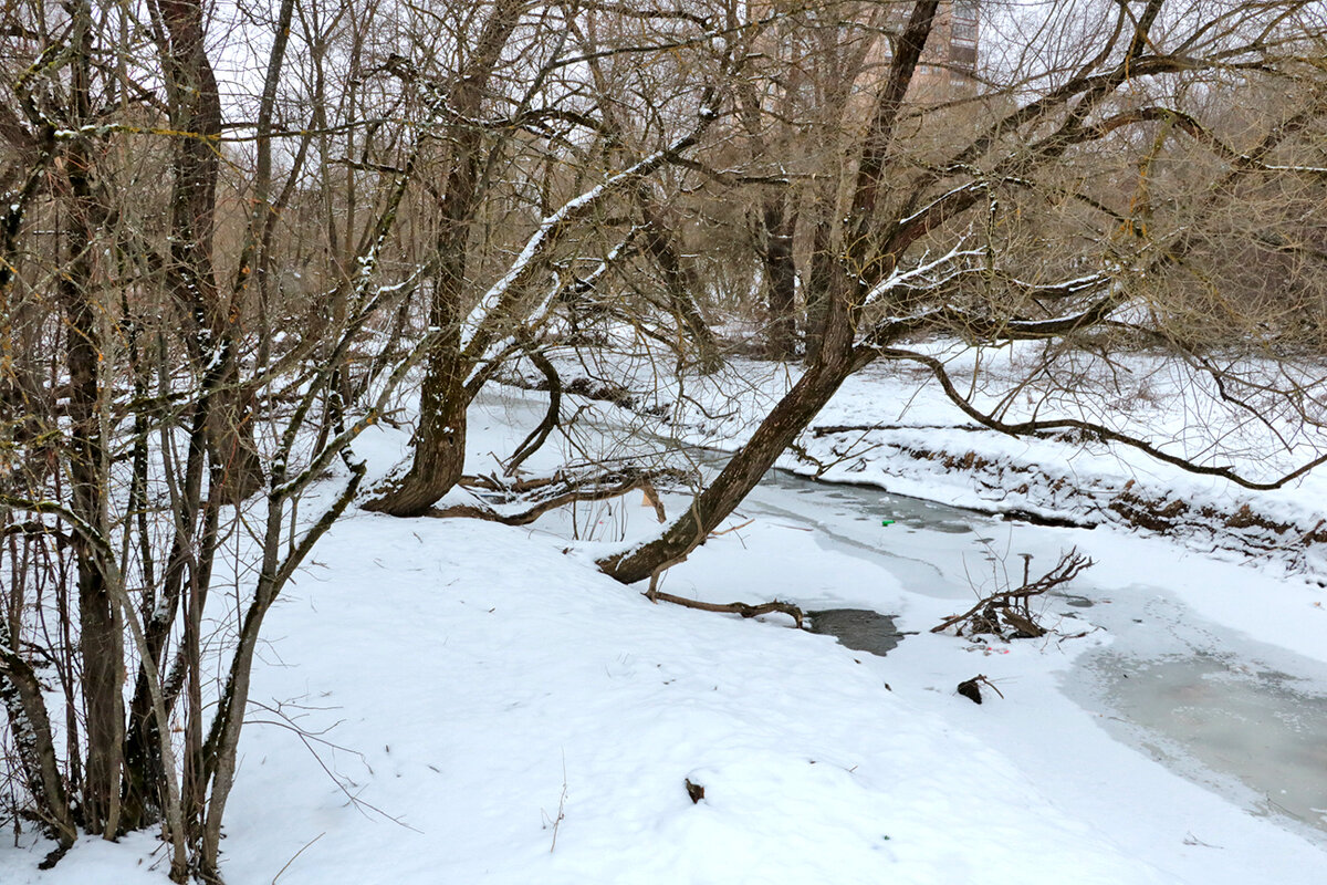 Вчера казалось, что пришла весна - ан нет - сегодня снова всё покрыто снегом... - Светлана 