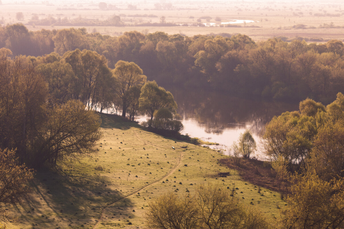 Утро на Десне. - Дмитрий Кобзев