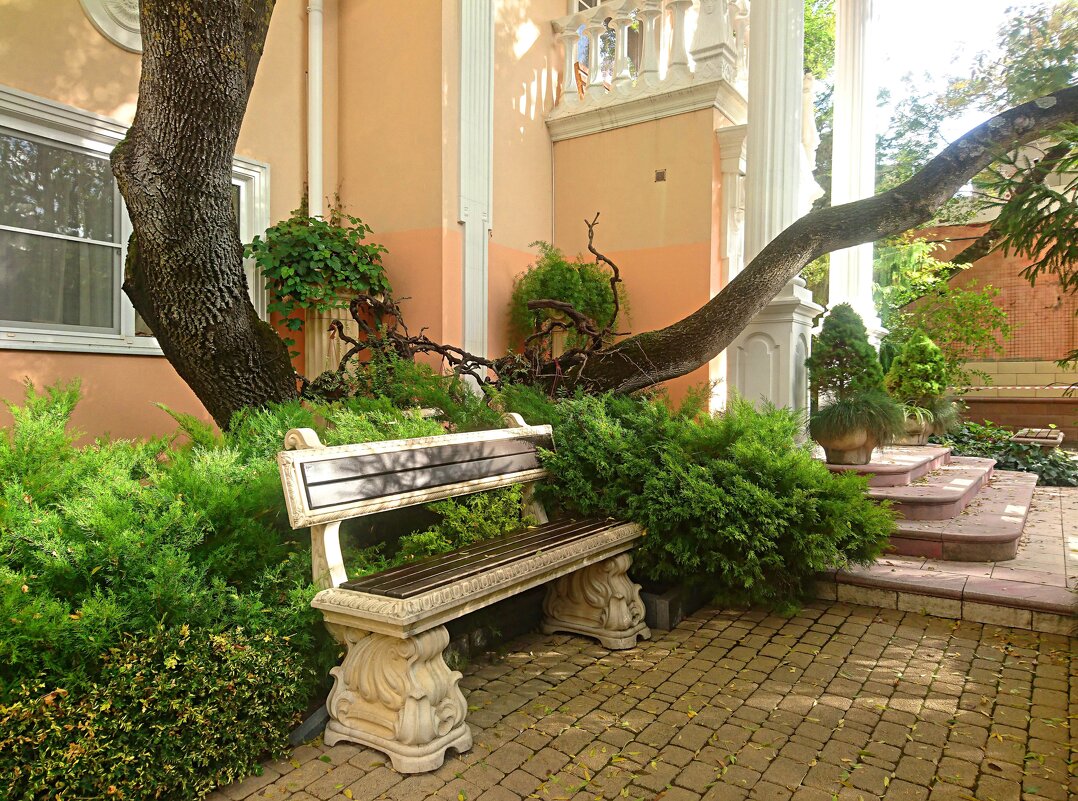 Старый парк в селе Кабардинка. - Виктор Мухин