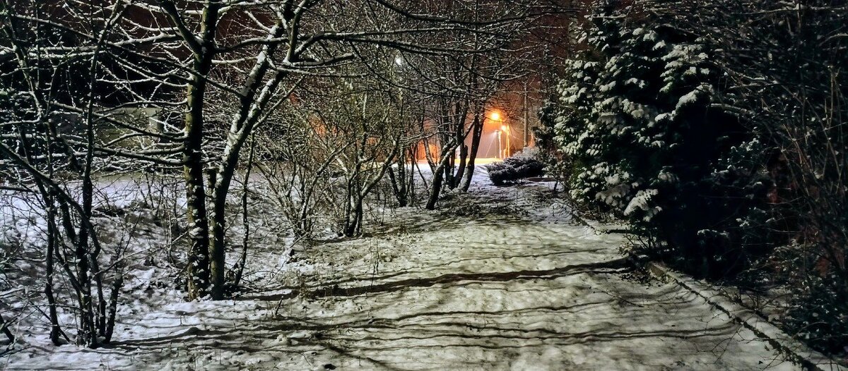 Март снегопад ПОДМОСКОВЬЕ. - Михаил Столяров