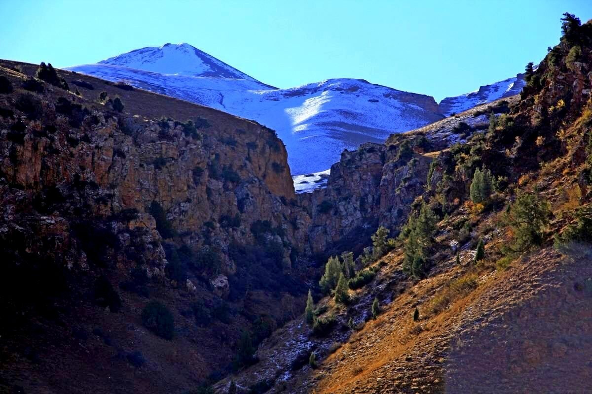 ГОРНАЯ ПРОГУЛКА. - Виктор Осипчук