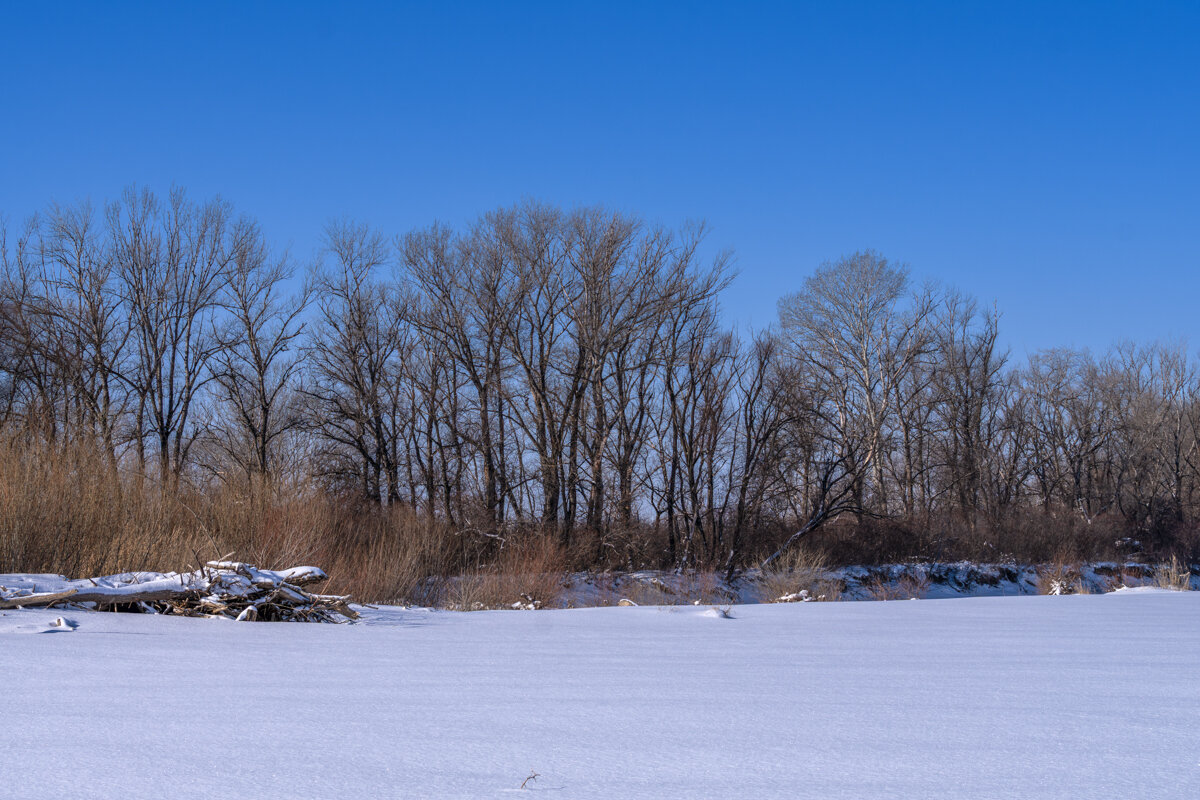 окрестности - Игорь Сикорский