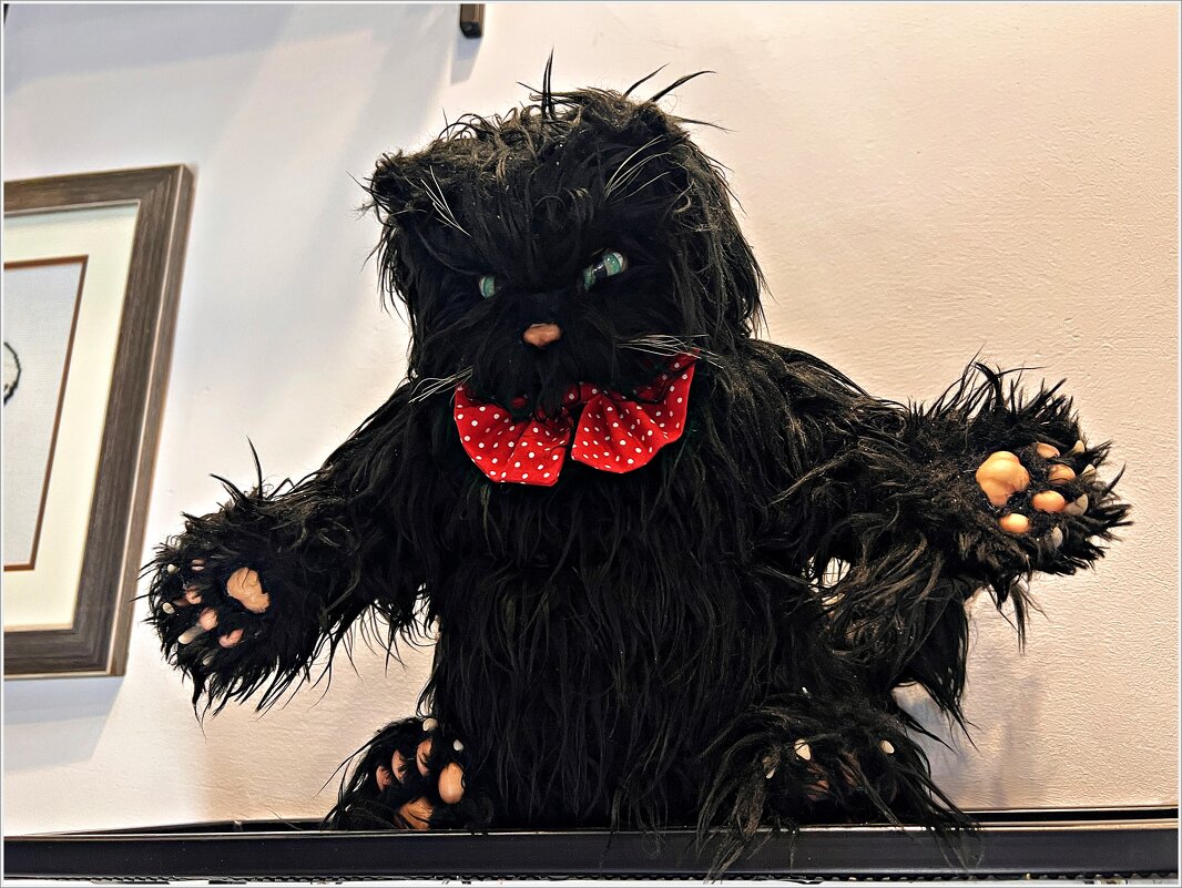 Котяра.:) - Валерия Комова Котяра.:) - Валерия Комова