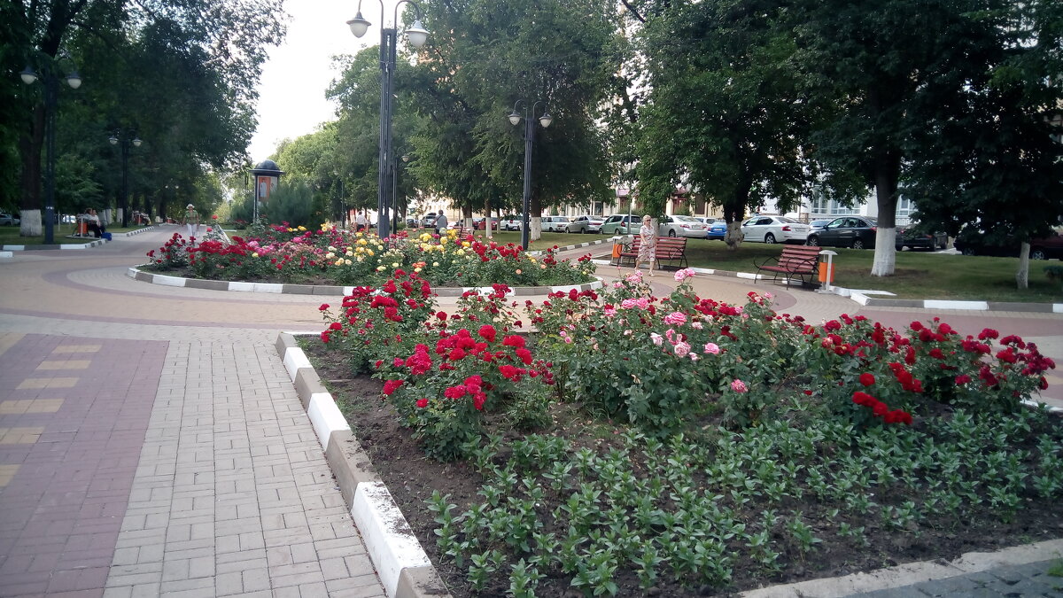 ,,, - Сергей Тимоновский ,,, - Сергей Тимоновский