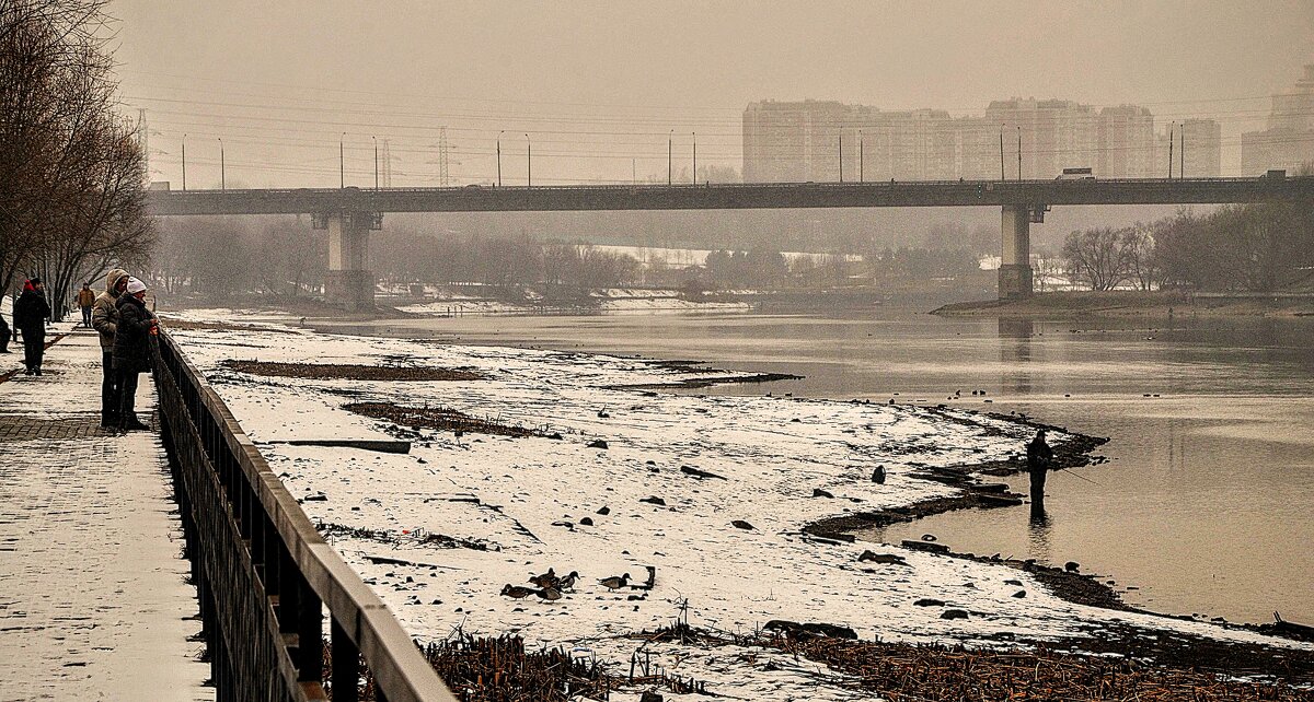 Кормили уток , и рыбака в придачу,,,) - Анатолий Колосов Кормили уток , и рыбака в придачу,,,) - Анатолий Колосов