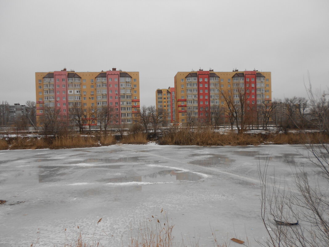 февраль - Елена Шаламова