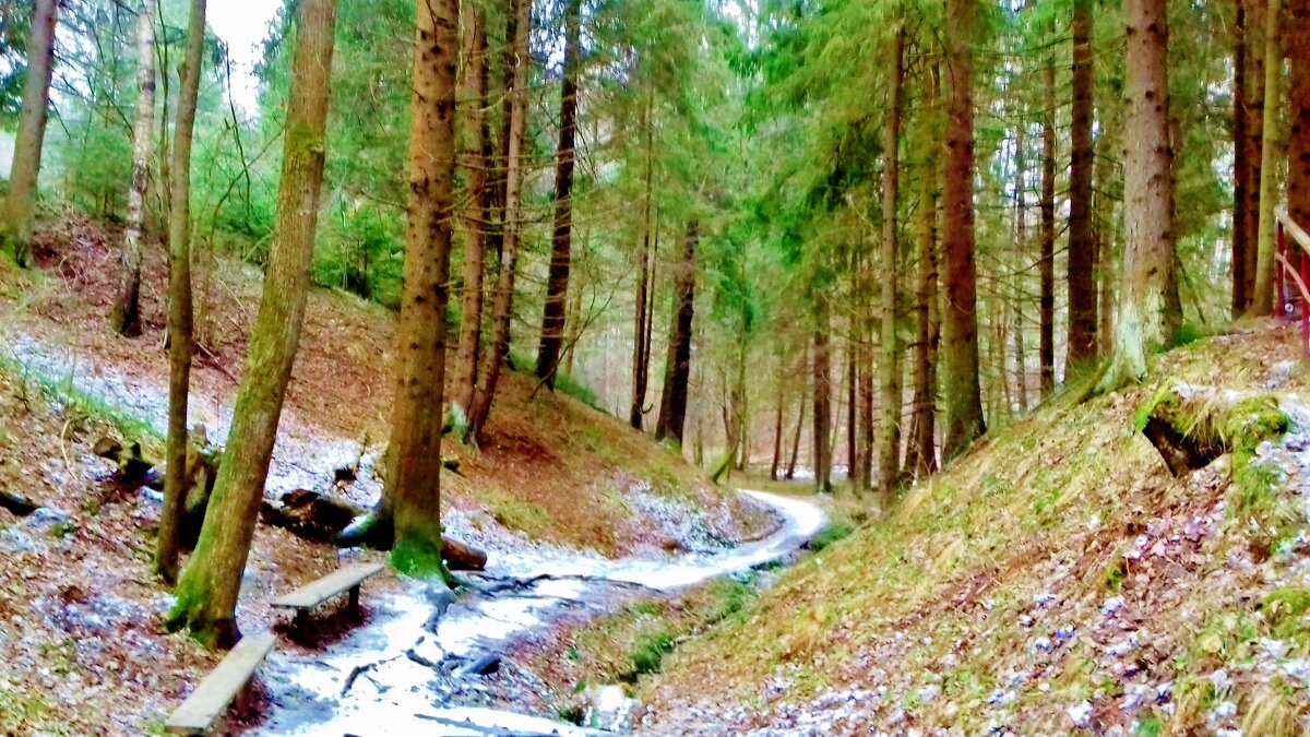 тропа на родник - Владимир тропа на родник - Владимир