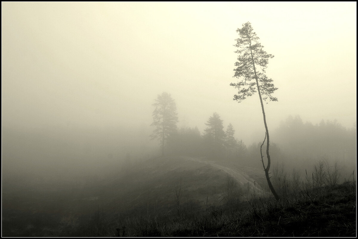 Утро туманное - Aleksandr Gal Утро туманное - Aleksandr Gal