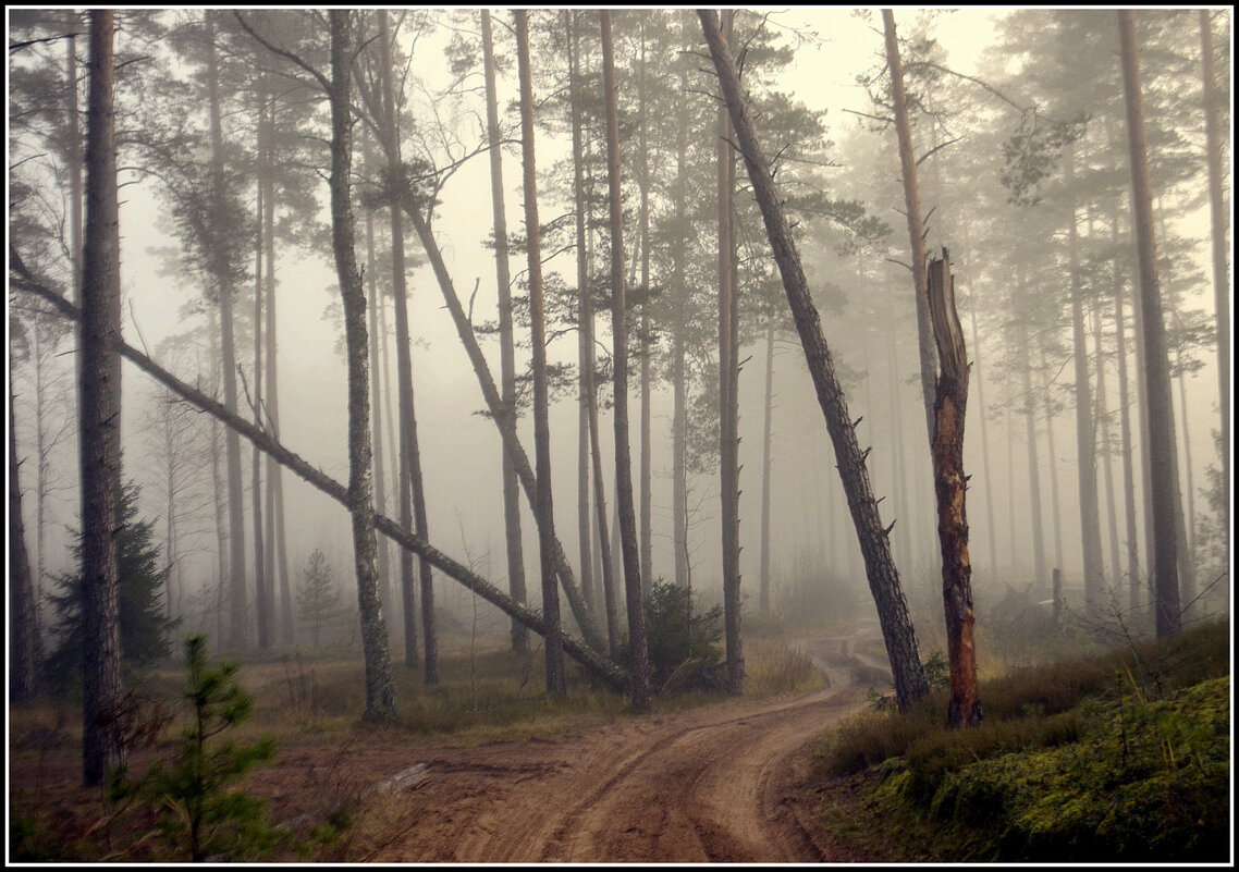 Утроо в лесу - Aleksandr Gal