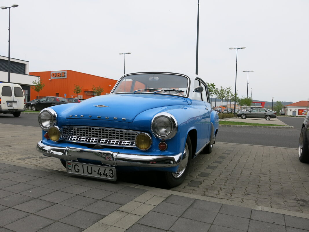 Раритет - Павел Fotoflash911 Никулочкин Раритет - Павел Fotoflash911 Никулочкин