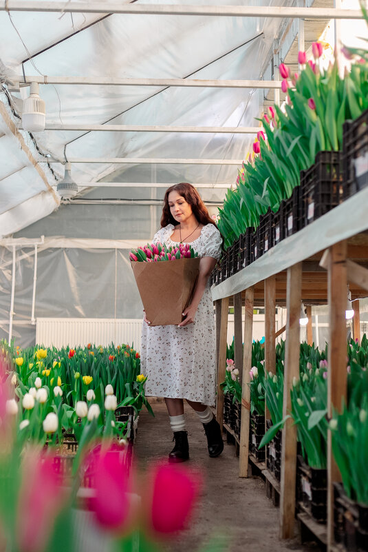 Охапка тюльпанов. - Юлия Кравченко