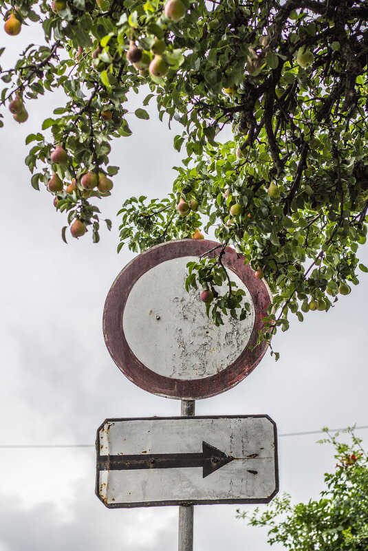 Груша & Знакъ - Коля Лукашов