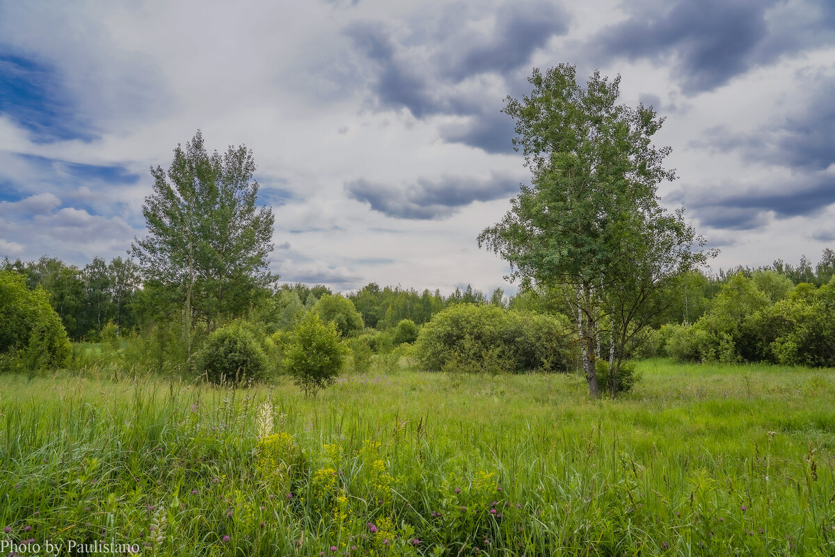 В поле... - Владимир Жданов