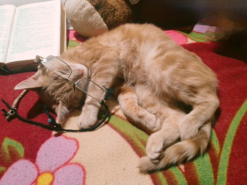 Стëпа - Сергей Кочнев