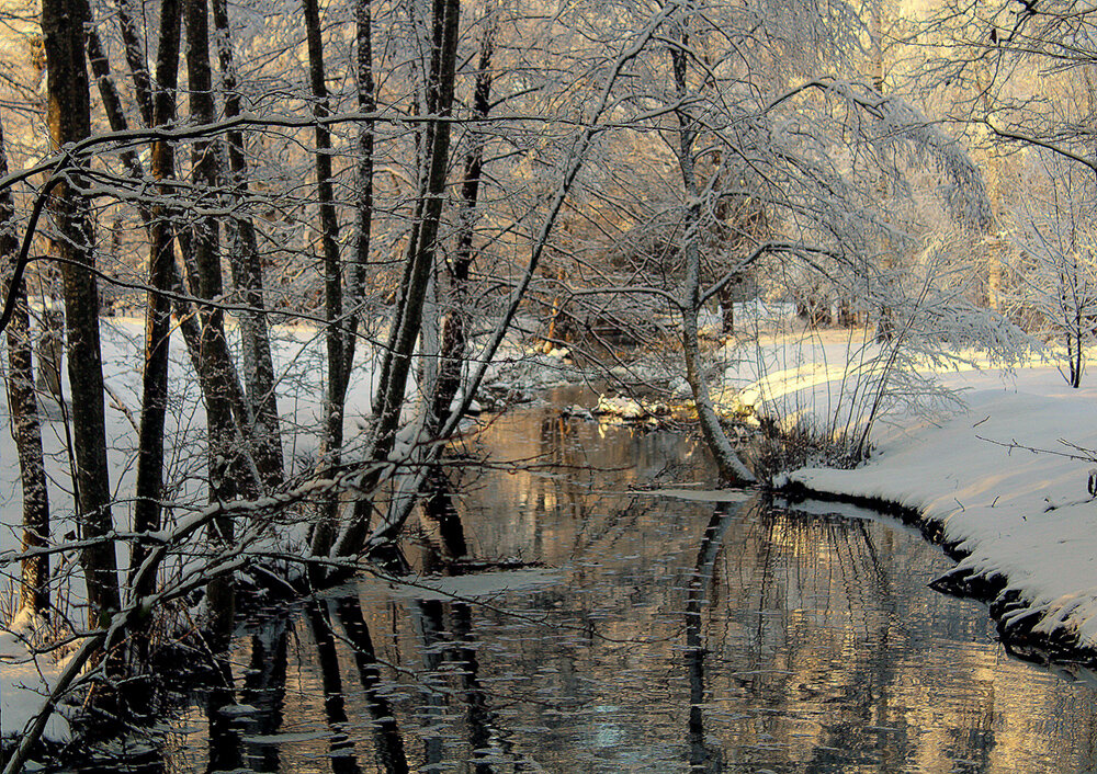 Мороз и солнце - Aleksandr Gal Мороз и солнце - Aleksandr Gal