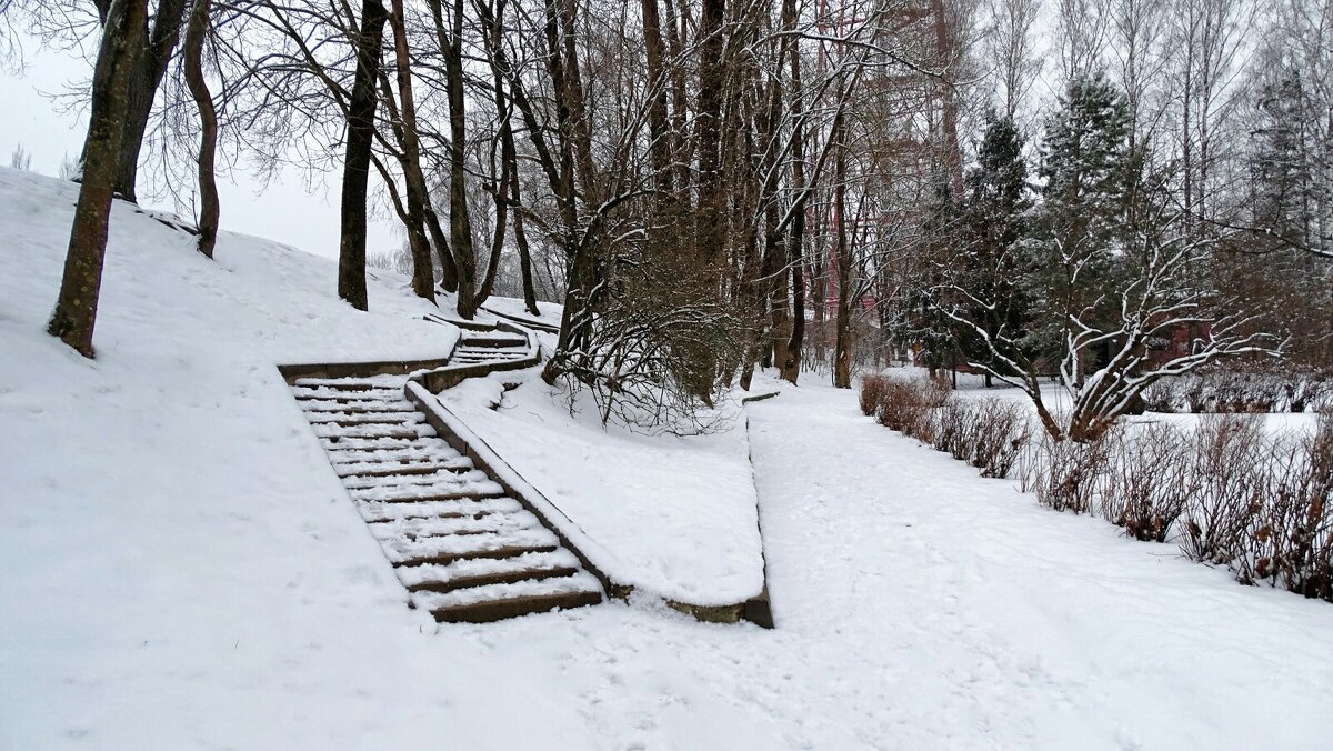 В город вернулась зима. - Милешкин Владимир Алексеевич В город вернулась зима. - Милешкин Владимир Алексеевич