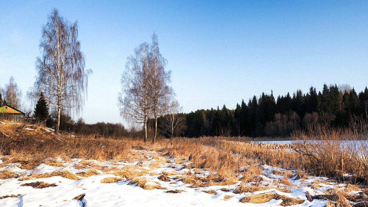 Зимний пейзаж - Милешкин Владимир Алексеевич Зимний пейзаж - Милешкин Владимир Алексеевич