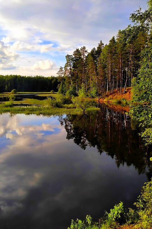 ВЕЧЕР - Татьяна Касьяненко