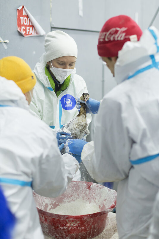 чс - Albina Lukyanchenko