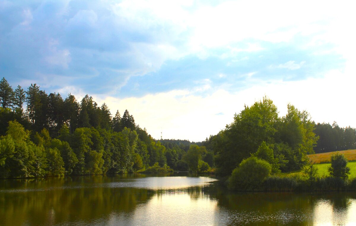 река - марта Камушкина