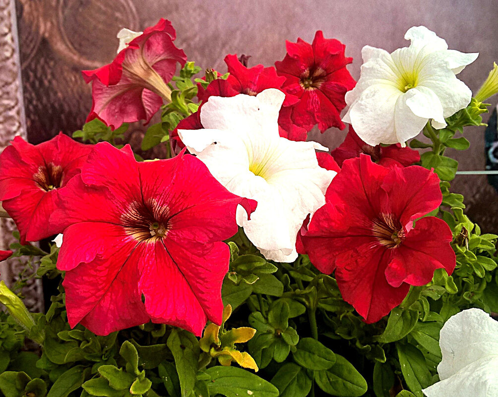 ЯРКИЙ ИНТЕРЬЕР - Елена Семигина