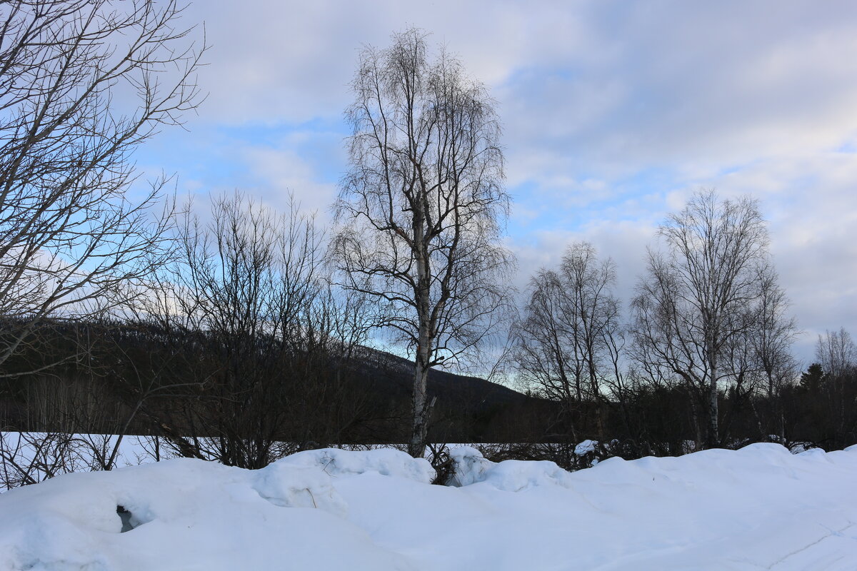 Весна в Заполярье - Ольга Весна в Заполярье - Ольга
