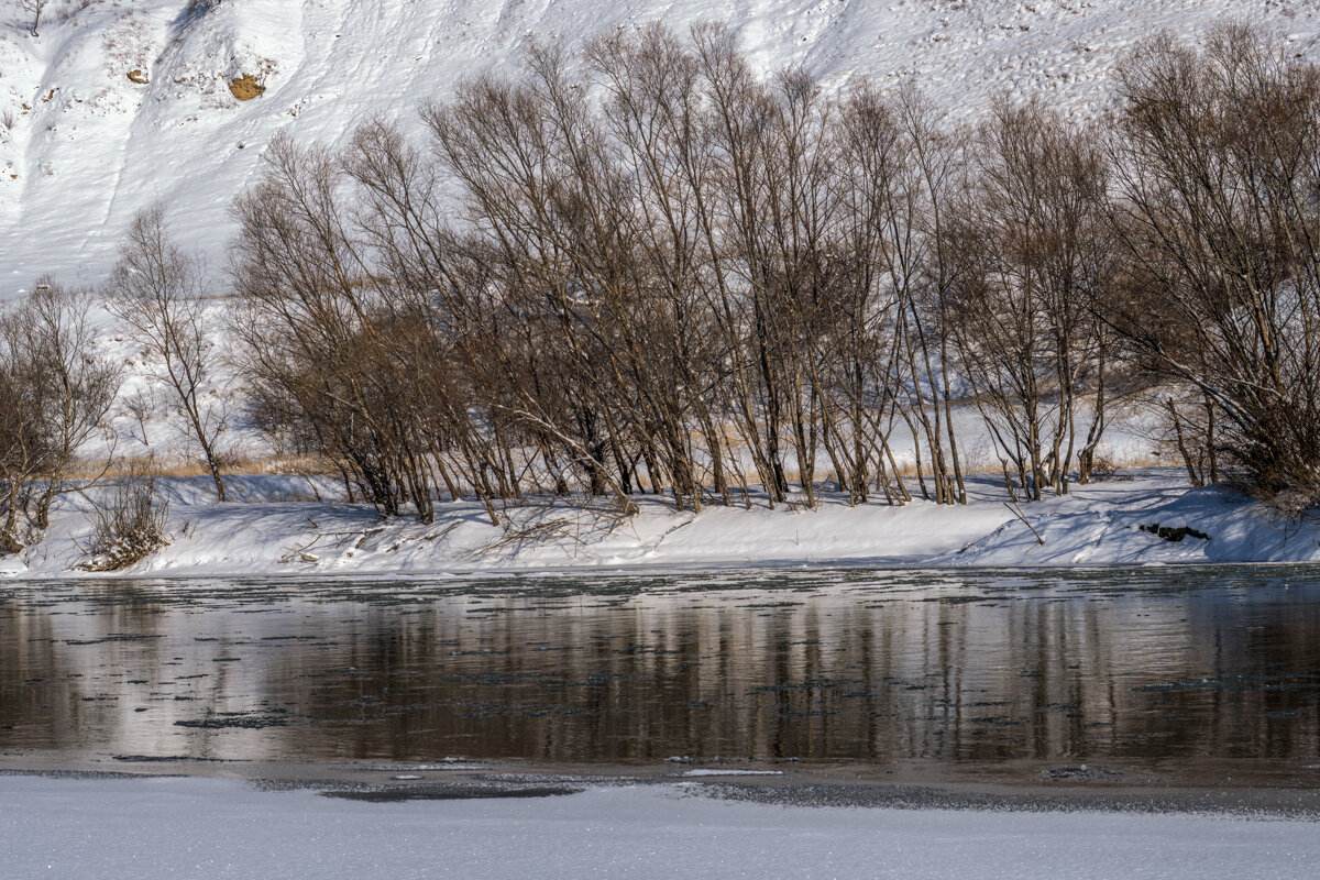 13799 - Игорь Сикорский