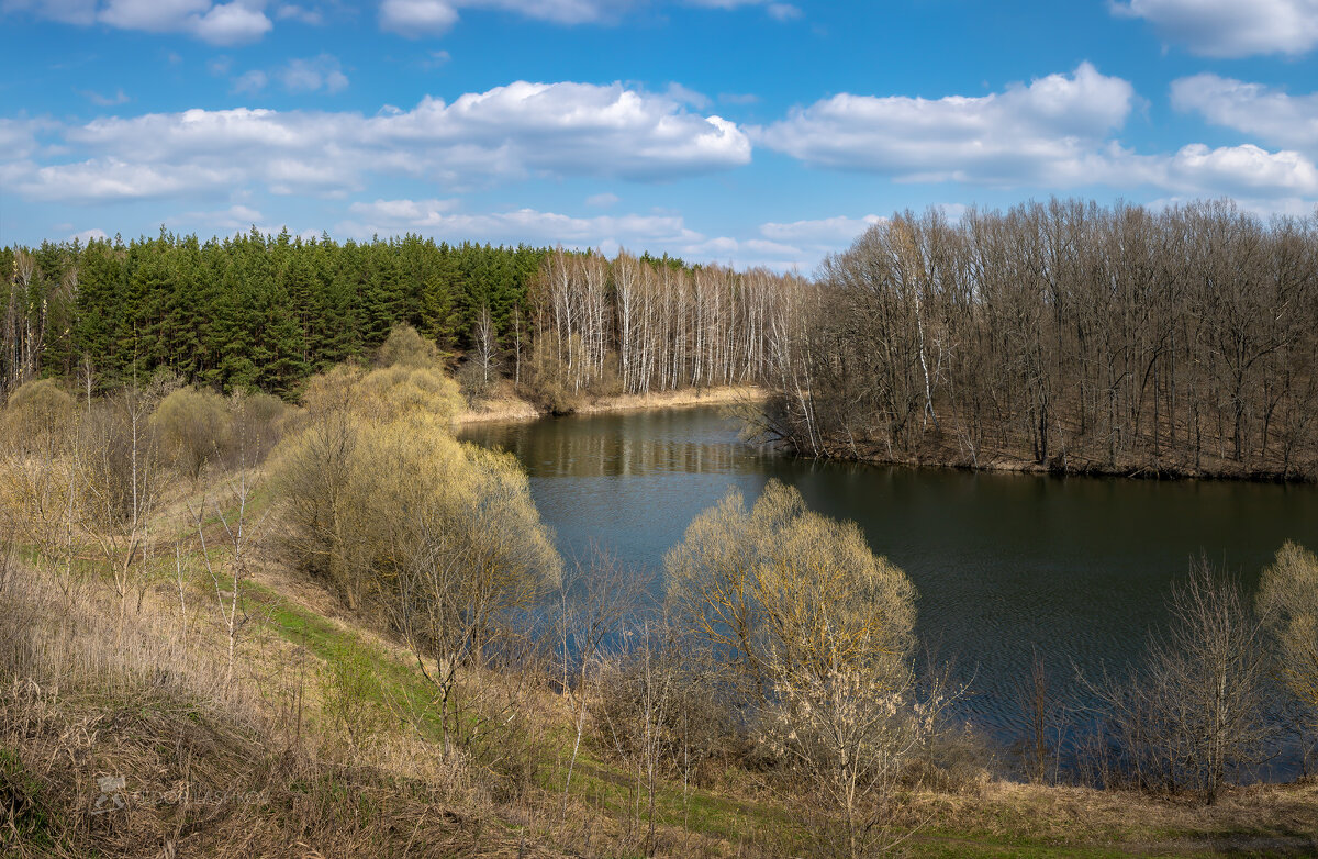 Апрельский день – настроение весны - Фёдор. Лашков