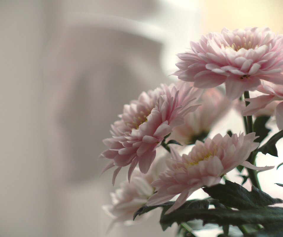 Утренний сон - Магомед .