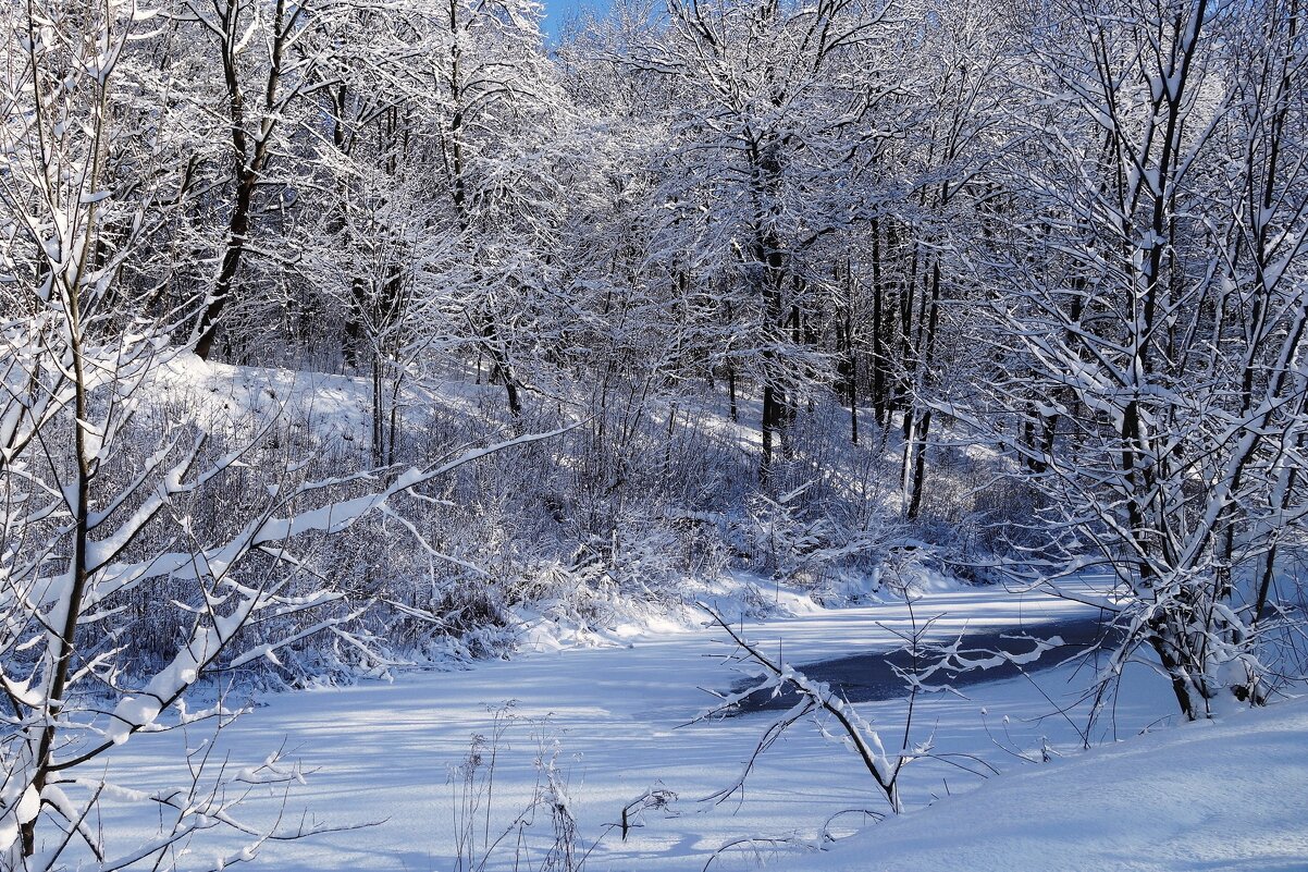 Февраль - Рита Симонова Февраль - Рита Симонова