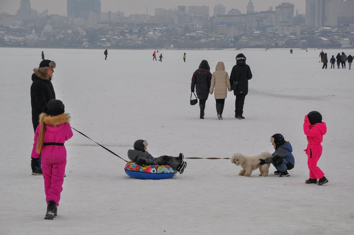 Старые знакомые - Татьяна Машошина Старые знакомые - Татьяна Машошина