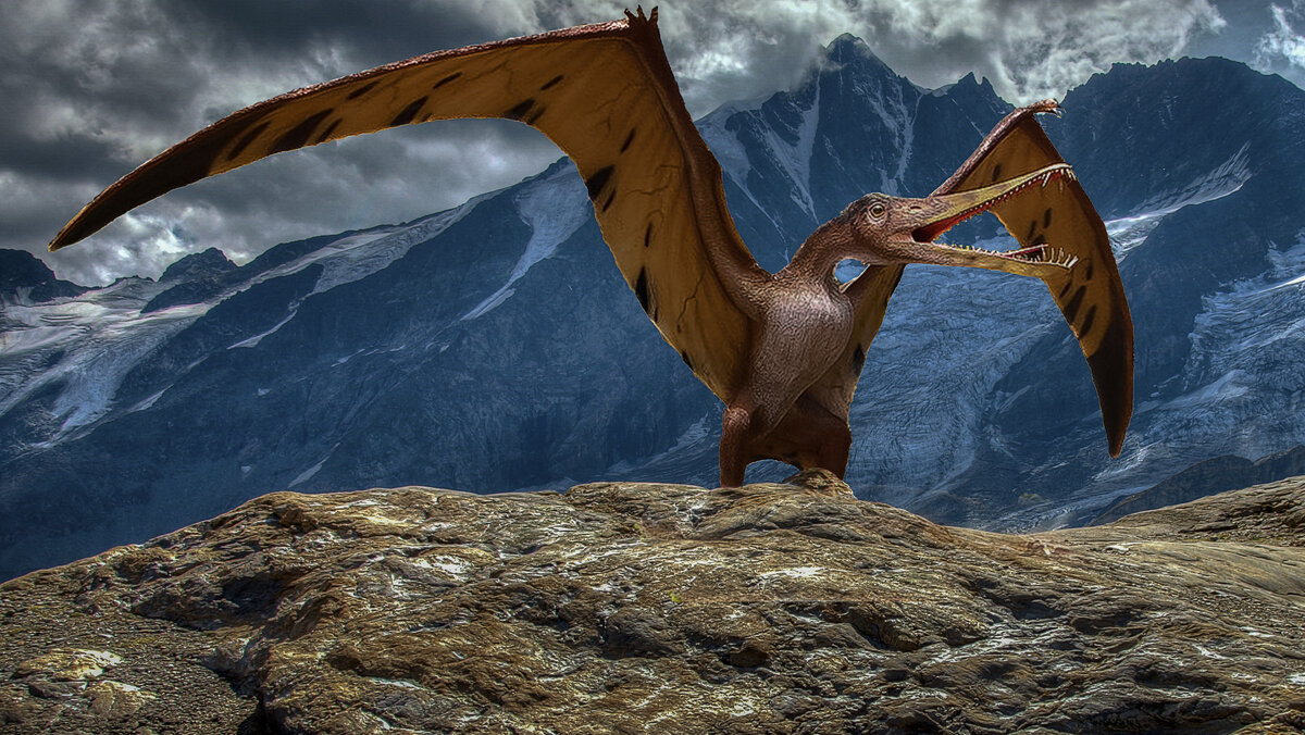 Эволюция - Aleksey Afonin Эволюция - Aleksey Afonin