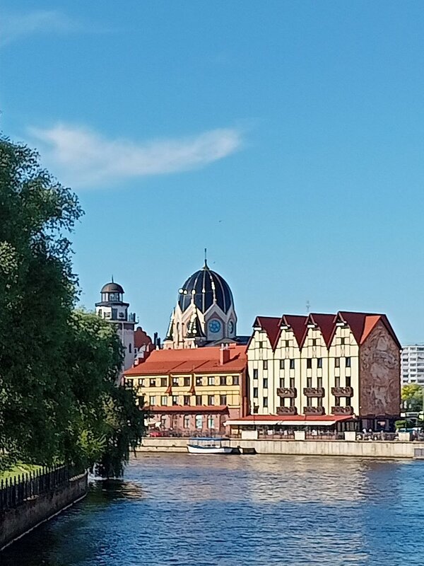 Калининград - Юра Светлаков