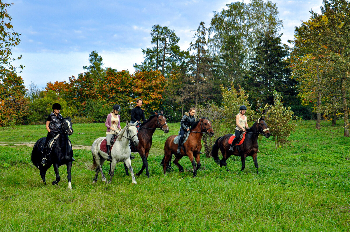 Прогулка - Александр Силинский Прогулка - Александр Силинский