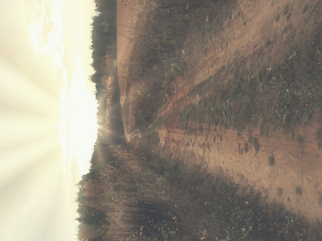 Лесная дорога - Александр Козлов Лесная дорога - Александр Козлов