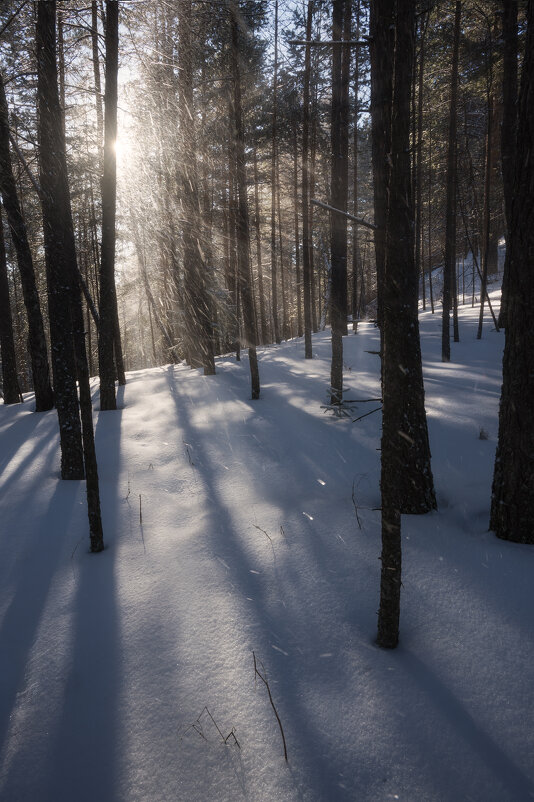 * - Александр Иванов * - Александр Иванов