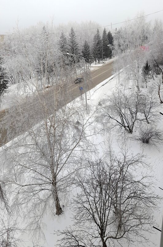 Мартовское утро на моей улице . - Мила Бовкун Мартовское утро на моей улице . - Мила Бовкун