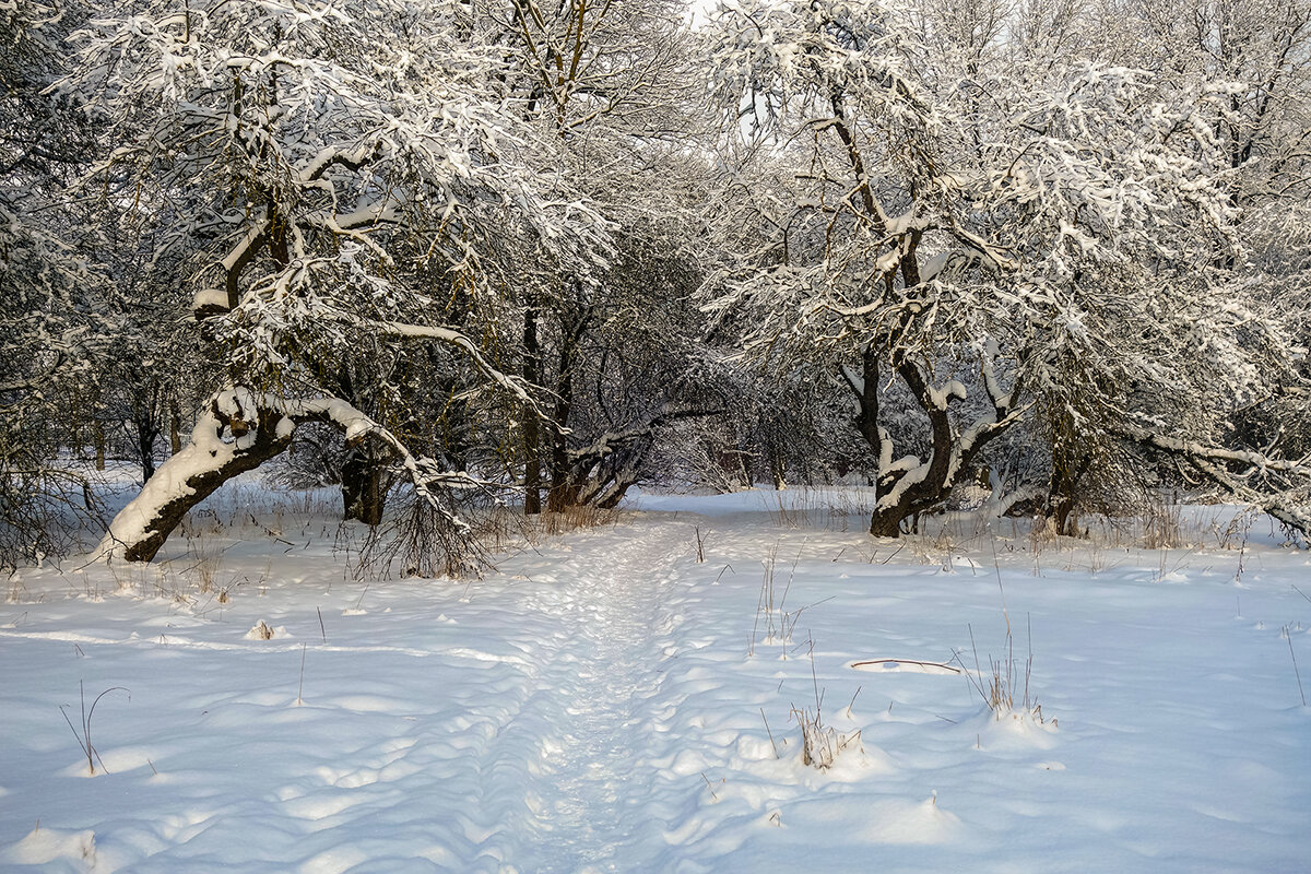 тропинка к дому... - Владимир Матва тропинка к дому... - Владимир Матва